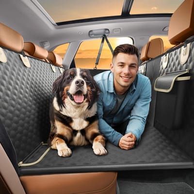 Autostoelhoes Honden - Reisaccessoires Huisdier - Veilig Vervoer - Waterdicht Oxford Materiaal - Universeel Passend - Zwart