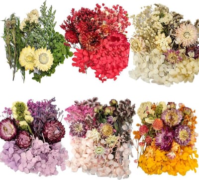 Dailygoods- Gedroogde Bloemen 6 Zakjes - Natuurlijke Bloemen - Hars Versieringen - Uitnodigingen - Knutsel Projecten - Unieke Kleuren - Bloemdecoratie