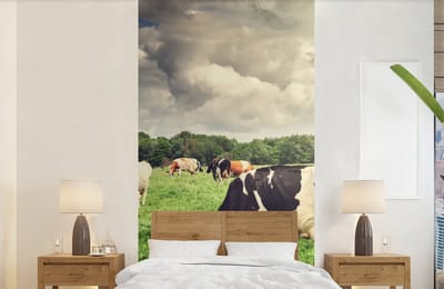 Behang - Fotobehang Koeien - Weiland - Natuur - Dieren - Landschap - Breedte 120 cm x hoogte 240 cm