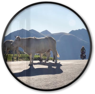 Poster in lijst Rond - Fotolijst 60x60 cm - Posters - Schotse hooglander - Licht - Berg - Natuur - Ronde posterlijst zwart - Decoratie - Wanddecoratie woonkamer - Muurdecoratie slaapkamer