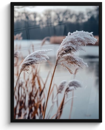 Poster in lijst - Fotolijst 50x70 cm - Posters - Riet - Gras - Natuur - Winter - Meer - Posterlijst zwart - Decoratie - Wanddecoratie woonkamer - Muurdecoratie slaapkamer