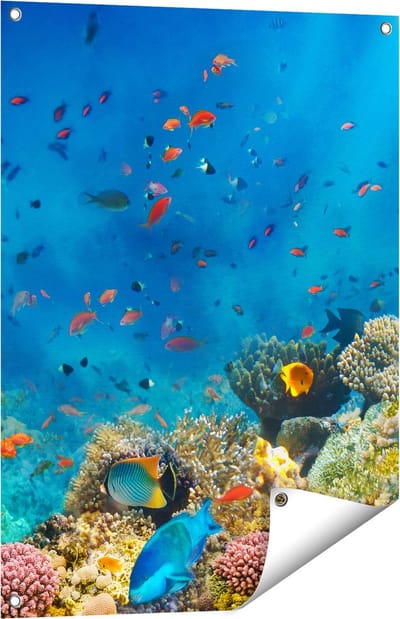 Gards Tuinposter Onderwater Vissen met Koraal in de Zee - 60x80 cm - Tuindoek - Tuindecoratie - Wanddecoratie buiten - Tuinschilderij