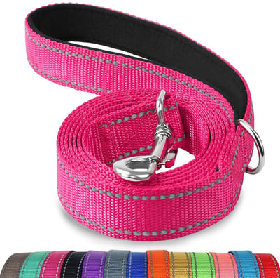 Dailygoods- Hondenriem 1,5 m - Dubbelzijdig reflecterend - Gevoerde handgreep - Nylon - Stevige riem voor kleine/middelgrote honden - Verbeterde zichtbaarheid - Hondentuig