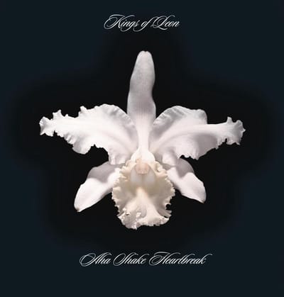 Aha Shake Heartbreak - Kings Of Leon