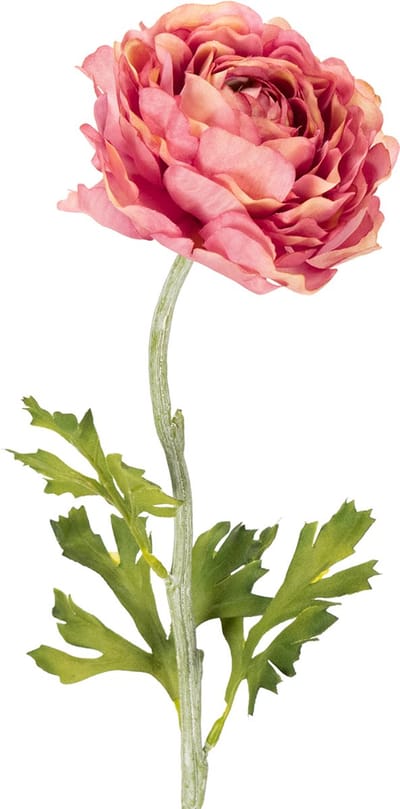 Kunstmatige ranunculus als boeket voor een elegante en onderhoudsvrien