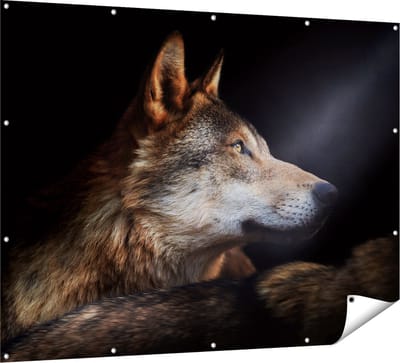 Gards Tuinposter Wolvenkop met een Zonnestraal - Wolf - 160x120 cm - Tuindoek - Tuindecoratie - Wanddecoratie buiten - Tuinschilderij