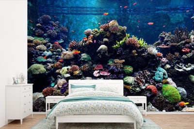 Behang - Fotobehang Aquarium met tropische vissen en koralen - Breedte 390 cm x hoogte 260 cm