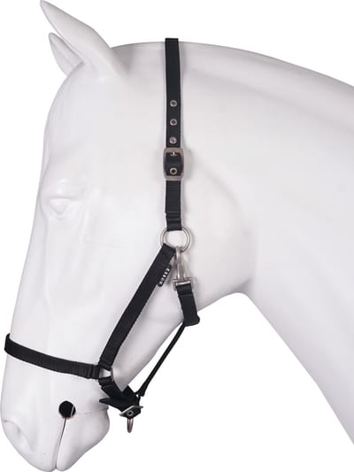 Halsband voor paard basis HORKA