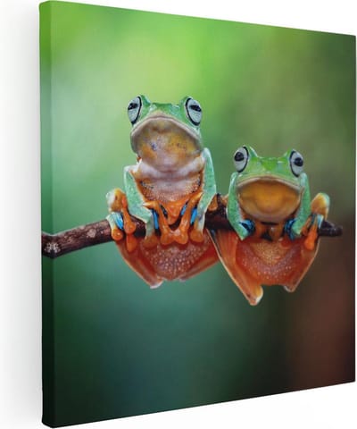 Artaza Canvas Schilderij Dieren - 30x30 cm - Klein - Wanddecoratie Kikker - Muurdecoratie Jungle - Kamer Accessoires