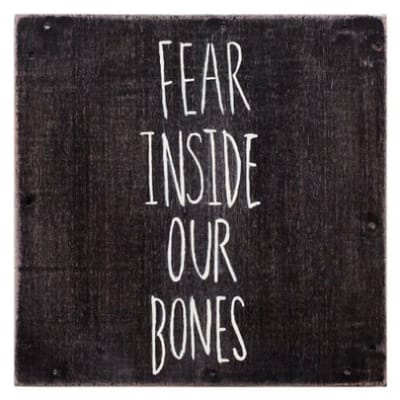The Almost - Fear Inside Our Bones (CD)