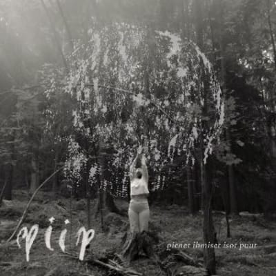 Piip - Pienet Ihmiset Isot Puut (CD)
