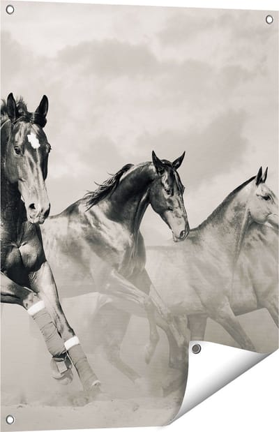 Gards Tuinposter Vier Paarden naast Elkaar - Zwart Wit - 60x80 cm - Tuindoek - Tuindecoratie - Wanddecoratie buiten - Tuinschilderij