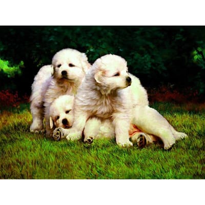 5D DIY diamant schilderij schattige puppy's diamant borduurwerk mozaïek kruissteek strass 20X30CM beige