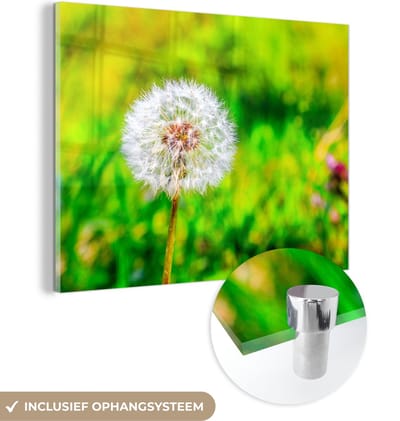 MuchoWow® Glasschilderij 40x30 cm - Schilderij acrylglas - Paardenbloem - Grasveld - Bloem - Foto op glas - Schilderijen