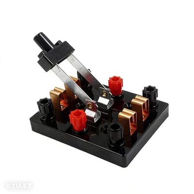Schakelaar Dubbele Pole - DPDT SPDT - Experimenten Elektriciteit - Schakelt Twee Circuits - 76mmx5.2mm - IJzer