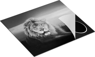Chefcare Inductie Beschermer Leeuw in de Savanne - Zonsondergang - Zwart Wit - 60x50 cm - Afdekplaat Inductie - Kookplaat Beschermer - Inductie Mat