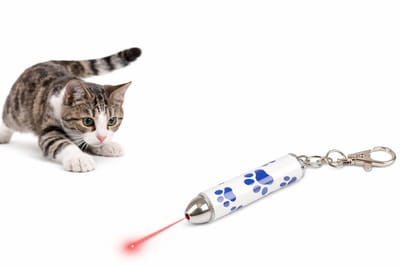 Kattenspeeltjes – laserpen kat – interactief – Flamingo Anser Wit – 5 motieven – zichtbaar tot 3m – incl. 3x LR44 – met sleutelhanger – binnen