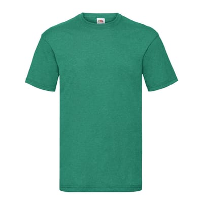 Fruit of the Loom Unisex Adult Waardevol T-Shirt (Retro Heide Groen)
