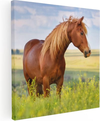 Artaza Canvas Schilderij Paard - 80x80 cm - Wanddecoratie Paarden - Muurdecoratie Natuur - Schilderijen Op Canvas Woonkamer