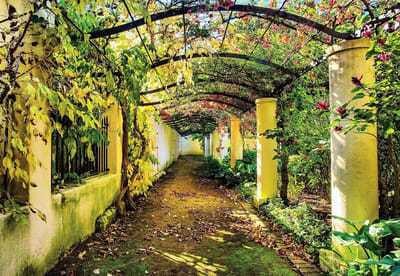 Fotobehang Garden Path Flowers Trees Nature | PANORAMIC - 250cm x 104cm | 130g/m2 Vlies