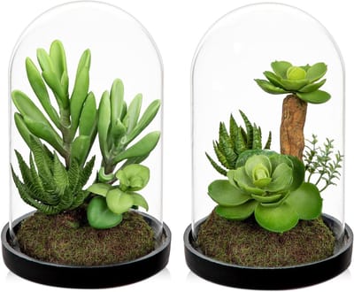 JGS Premium - Kunstmatige Planten - 2 Stuks Kunstmatige Succulenten in Glazen Fles Groene Planten voor Thuisdecoratie