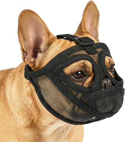 Set van 2 Gaasmuilkorven voor Honden met Korte Snuit – Verstelbare Muilkorf voor Franse Bulldog – Ademend – Anti-Bijt, Kauw en Blaf – Geschikt voor Shih Tzu en Mopshond – M