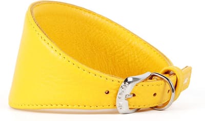WAUDOG Glamour Halsband Windhond - Italiaans leder - Geel - S - Nekomtrek: 34 - 40 cm (GELIEVE ALVORENS BESTELLEN OPMETEN)