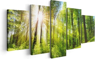 Artaza Canvas Schilderij Vijfluik Weg Omringd Met Bomen In Het Bos - 100x50 - Foto Op Canvas - Canvas Print