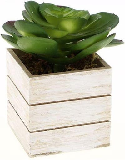 Kunstplant in houten pot H. 12cm - Kunststof|Bois - Wit - SILUMEN