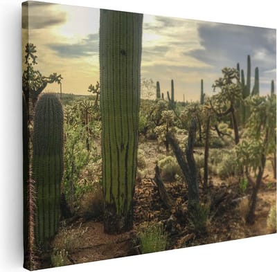 Artaza Canvas Schilderij Saguaro Woestijn - 40x30 cm - Klein - Wanddecoratie Landschap - Muurdecoratie Botanisch - Kamer Accessoires