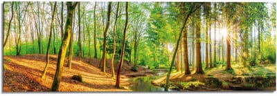 Schilderij Lentebos 1 - 52 x 156 - Hout - REINDERS