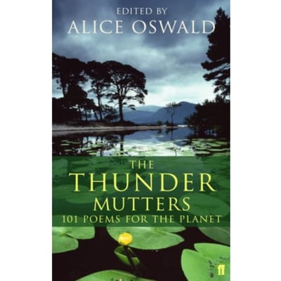 The Thunder Mutters