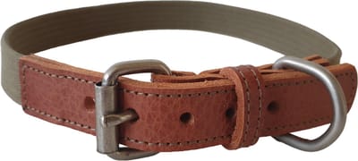 Animal Boulevard Ab30572 - Hals- En Leibanden - Hond - Ab Waxed Leather Canvas Halsb. Cognac/groen-25mmx52-60cm - Maat: 25mmx52-60cm