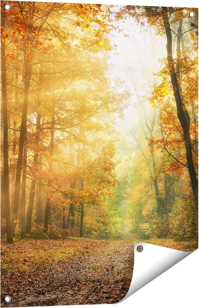 Gards Tuinposter Herfstbos met Zonneschijn - 60x80 cm - Tuindoek - Tuindecoratie - Wanddecoratie buiten - Tuinschilderij
