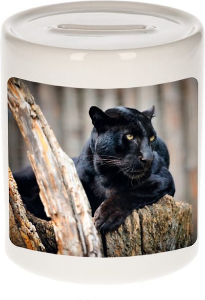 Dieren zwarte panter foto spaarpot 9 cm jongens en meisjes - Cadeau spaarpotten zwarte panter panters liefhebber