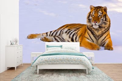 Behang - Fotobehang Tijger - Sneeuw - Winter - Dieren - Breedte 400 cm x hoogte 240 cm