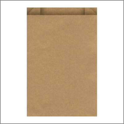 Eco Papieren Zakken - Kraft - Cadeau Zakjes - 1000 Stuks - Wenskaart Zakjes - Fournituren Zakjes - Bruin 15x22 cm