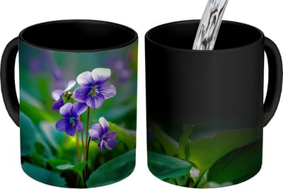 Magische Mok - Foto op Warmte Mokken - Koffiemok - Viooltjes - Paars - Bloem - Bladeren - Magic Mok - Beker - 350 ML - Theemok