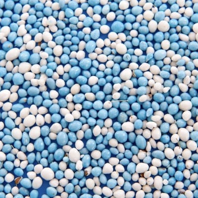 Blauwe muisjes jongen - blauwe muisjes voor op beschuit - 500gr