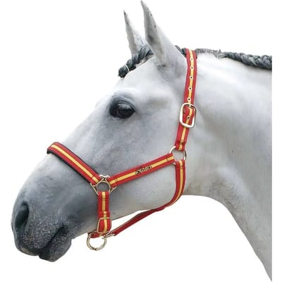 Hoofdstellen voor paarden Zaldi 4022SM
