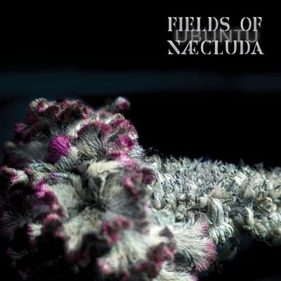 Fields Of Naecluda - Ubuntu (CD)