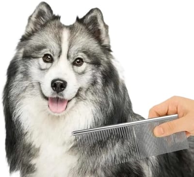 Hondenkam I Katten Kam I Dierenkam I Roestvrijstalen Dierenkam I Anti-Klit Kam I Grof & Fijn I 16 X 4 CM I RVS