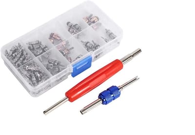 Dailygoody - Valvole Aria Condizionata - 102-delige A/C Kit - Professionele kwaliteit - Geschikt voor alle voertuigen - R134a en R12 - Inclusief geree