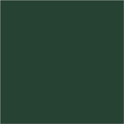 Plus Color Acrylverf, donkergroen, 60 ml/ 1 fles