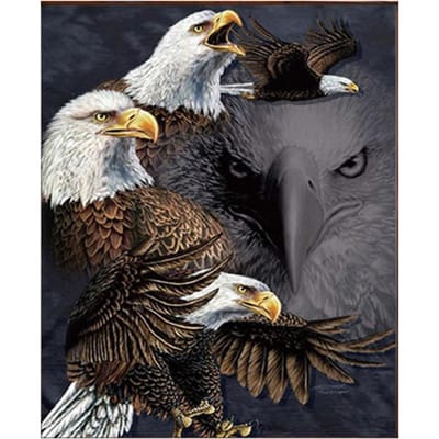 Dieren Eagle DIY Diamond Painting Uil Ambachtelijke accessoires Kruissteek diamantborduurwerk 20X30CM gray