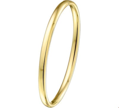 Bangle Scharnier Massief Ovale Buis 4,0 Mm