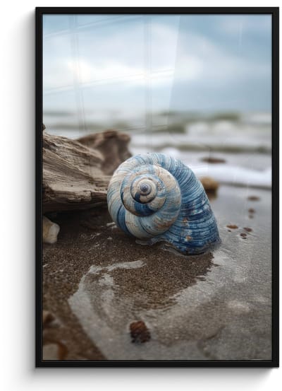 Poster in lijst - Fotolijst 80x120 cm - Posters - Schelp - Strand - Blauw - Zee - Posterlijst zwart - Decoratie - Wanddecoratie woonkamer - Muurdecoratie slaapkamer