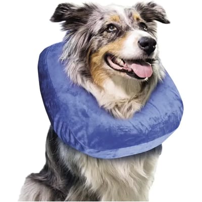 Beschermende halsband voor kleine honden Nobby Pet