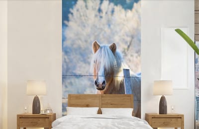 Behang - Fotobehang Paard - Winter - Sneeuw - Breedte 120 cm x hoogte 240 cm