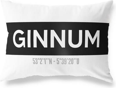 Tuinkussen GINNUM - FRIESLAND met coördinaten - Buitenkussen - Bootkussen - Weerbestendig - Jouw Plaats - Studio216 - Modern - Zwart-Wit - 50x30cm